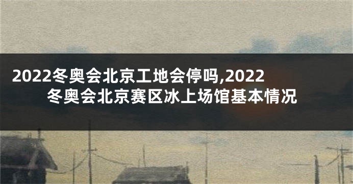 2022冬奥会北京工地会停吗,2022冬奥会北京赛区冰上场馆基本情况